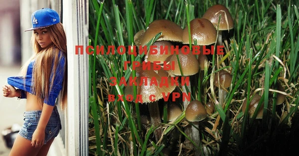 спиды Аркадак