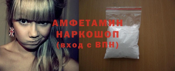 хмурый Арсеньев