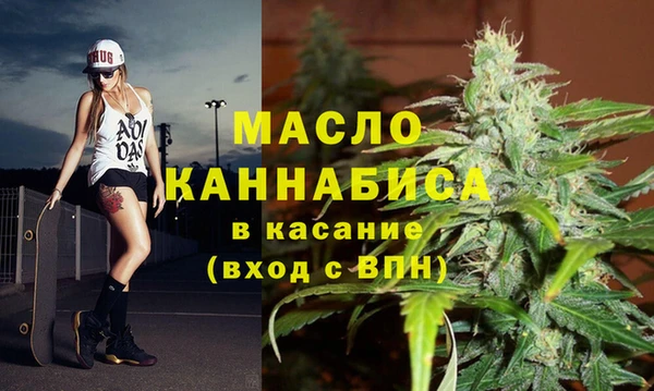 хмурый Арсеньев