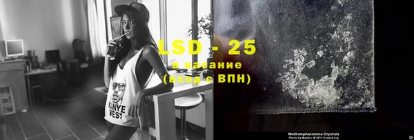 спиды Аркадак