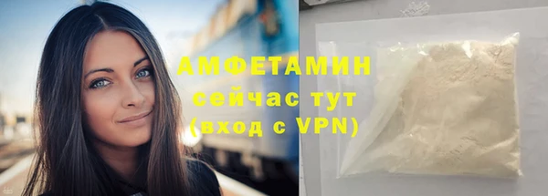 хмурый Арсеньев