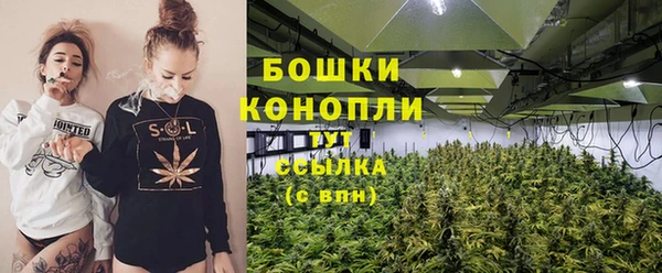спиды Аркадак