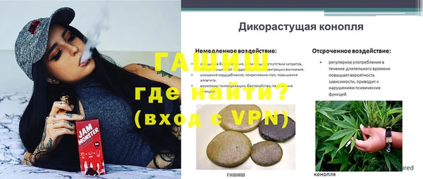 хмурый Арсеньев