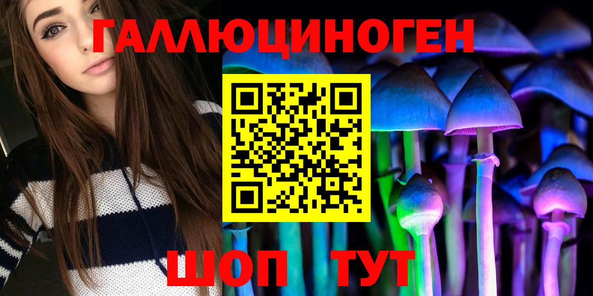 Псилоцибиновые грибы мицелий Сочи