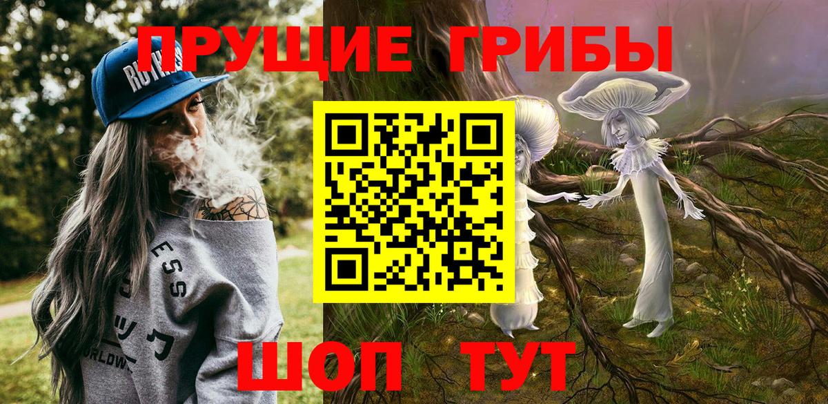 Галлюциногенные грибы ЛСД  Галлюциногенные грибы Psilocybine cubensis  Сочи  Вход с VPN 